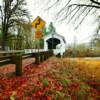 Earnest Covered Bridge~
(built in 1938)
Near Mable, Oregon.