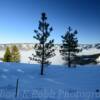 Oregon's Umatilla Mountains~
(near Tollgate, Oregon)