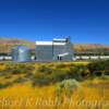 Grain Elevator-along the Columbia River--near Biggs, Oregon~