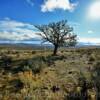 Central Oregon's rolling plains~
(near Wagontire, Oregon).