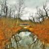 Felton Mill Covered Bridge~
(looking east down brush creek)