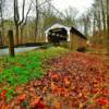 Linton Stephens Covered Bridge~
(opposite angle)