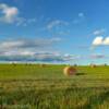 Evening on a hay field.
Near Brockway, PA.