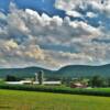 Typical Pennsylvania 
farm country.
Near Snow Shoe, PA.