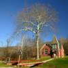 Pursley Baptist Church~
(est. 1930)
Greene County, PA.