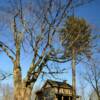 Log cabin style home~
(near Nettle Hill, PA).