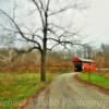 Day Covered Bridge~
(from afar)