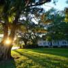 Plantation Home-
Georgetown, South Carolina~