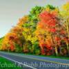 Autumn Foliage-
Northern South Carolina~