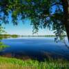 Lake Madison~
(On a beautiful sunny evening)