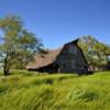 Characteristic leaning barn.
Near Platte, SD.