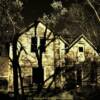 'Overgrown farm house'-near Wessington Springs, South Dakota 