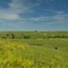 Looking north toward
Owanka, SD.