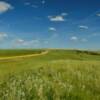 Sage Creek Road.
(looking north)
Near the Badlands.