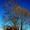 Old farm-stead near Madison, South Dakota