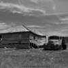 Long abandoned horse shed
& late 1940's haul-truck.
Near Hereford, SD.