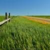 Rolling grasslands.
Near Ottumwa, SD.