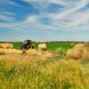 July hay harvest.
Southern South Dakota.