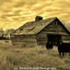 'Leaning barn' near Wessington, South Dakota