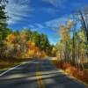 Beautiful autumn foliage.
Black Hills, SD.