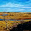 Western South Dakota's South Fork Moreau River-near Newell, South Dakota