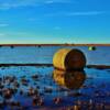 Reflective thaw-near Enning, South Dakota