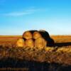 Typical hey stack-near Union Center, South Dakota