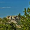 A peek at Mount Rushmore.
Through the pines.