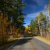 Highway 385.
Autumn foliage.
Near Keystone, SD.