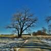 November "winter day"
Near Clearfield, SD.