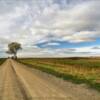 Northeastern plains.
Clark County.