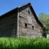 Tucked away old shed barn.
Brown County, SD.