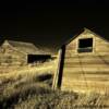 'Leaning shed' near Mosher, South Dakota