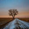 Evening twight on a remote road (late January)....near Gettysburg, South Dakota