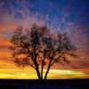 Northern South Dakota (February) sunset