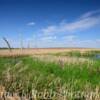 Open marshlands~
Near Rutland, SD.
