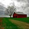 Beautiful scenic barn/tree~
Northern Tennessee.