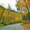 Autumn foliage along
US Highway 441
Great Smoky Mountains.