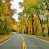 More autumn foliage along
US Highway 441.
South of Gatlinburg, TN.