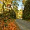 Little River Road.
In mid-October.
Northern Smoky Mountains.