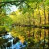 Reflection on the Little River.
Mid-autumn.