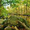 More mid-autumn colors
along the Little River.