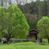 1923 Bible Covered Bridge.
(spawning spring willows)
Greene County, TN.