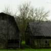 Austere old barn cluster.
East Tennessee.