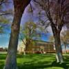 Bailey County Courthouse.
(through the trees)
Muleshoe, TX.