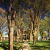 Parmer County Courthouse.
(frontal view)
Farwell, TX.