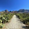 Sam Nail hiking trail.
Big Bend National Park.