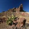 Mount Tule.
Big Bend National Park.