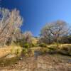 Cibolo Creek bed.
Shafter, TX.