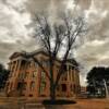 Williamson County Courthouse.
(east angle)
Georgetown, TX.